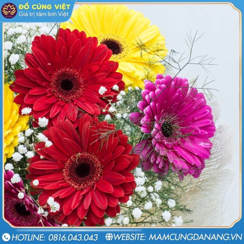 Chúc mừng khai trương nên tặng hoa gì?